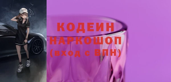 индика Абаза