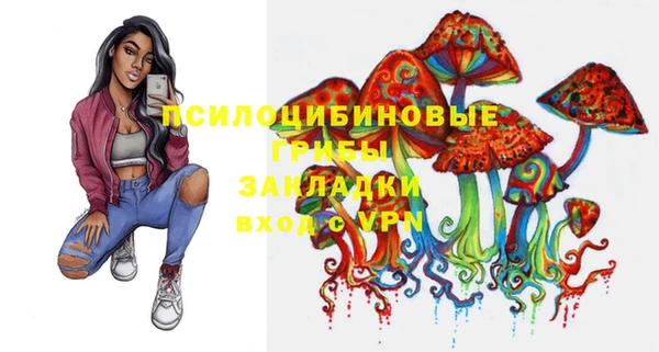 прущие грибы Алексин