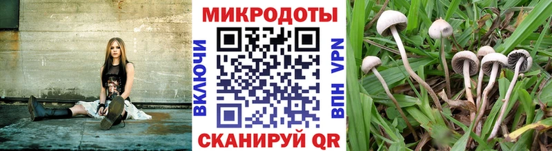 Галлюциногенные грибы MAGIC MUSHROOMS  Плавск 